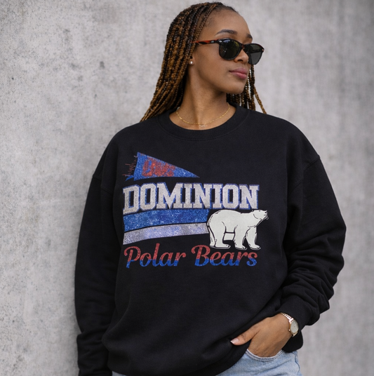 Dominion Middle School Mascot Sweatshirt